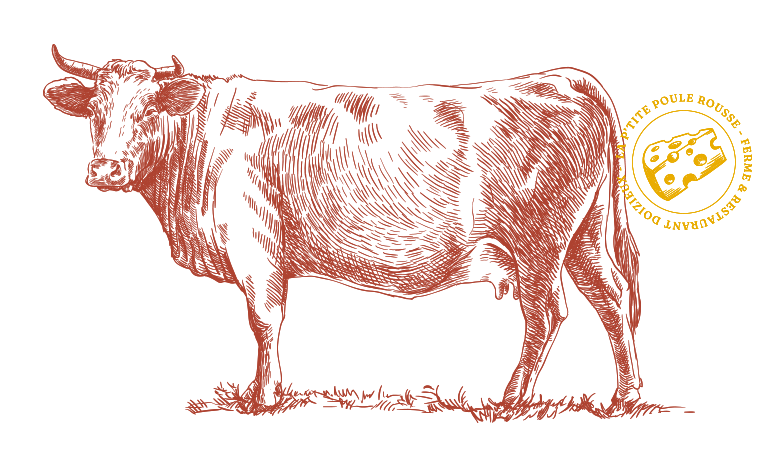 La P'tite Poule Rousse - Restaurant Doizieux - manger a DOIZIEUX