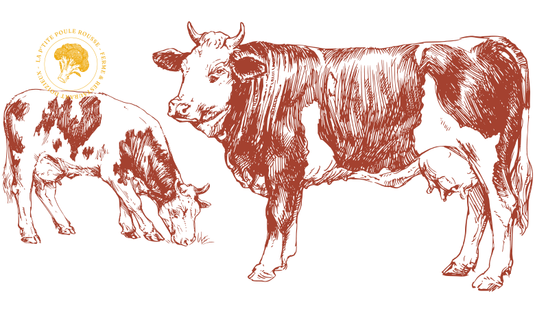 Le restaurant - La P'tite Poule Rousse - Restaurant Pelussin - meilleur resto DOIZIEUX